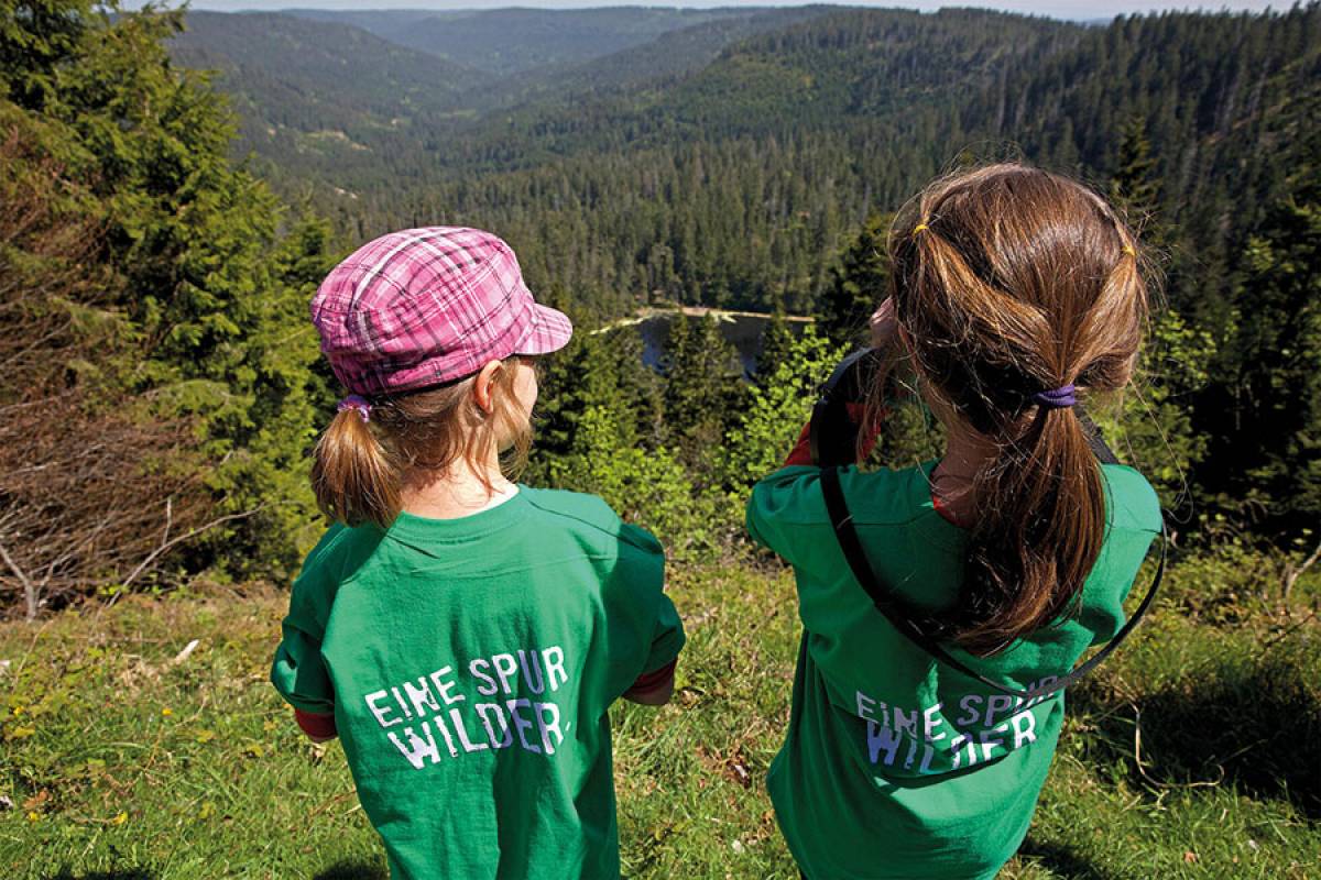 Klumpp/Nationalpark Schwarzwald